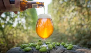 Pouring Hops IPA Beer in Glass